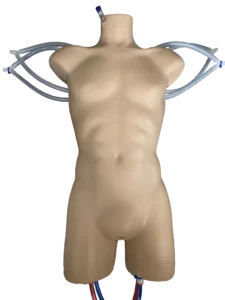 Advanced-Torso-8